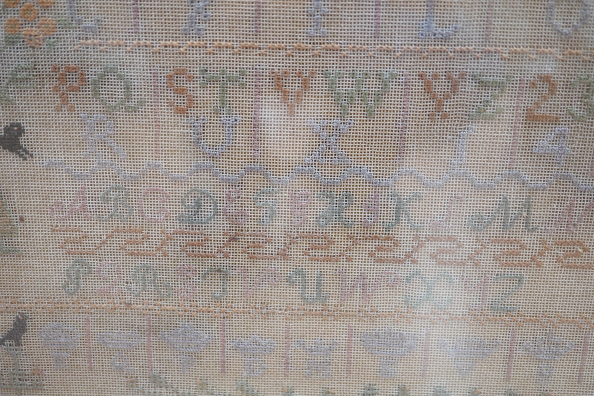 A framed cross stitch, alphabet sampler, by Kathleen Pearson, aged 8, dated 1911, worked in cross stitch with a decorative border of trees, vines, flowers with five spot motifs of blackbirds and a cat, the central panel